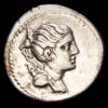 C. Postumius. Denario. (3,84g.). Roma. 74 a.C. Craw-394/1A. XF-. C. POSTUMI